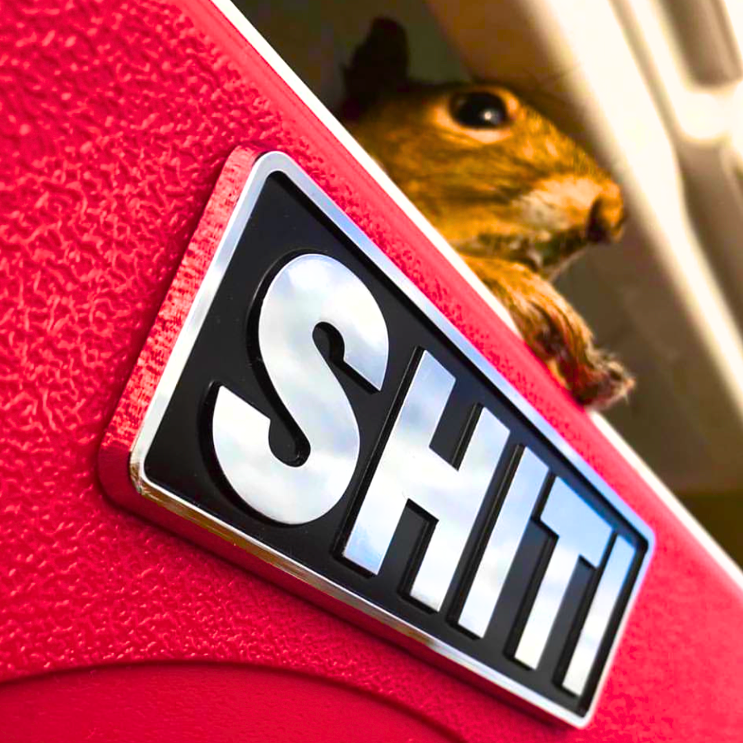 Close-up of a chrome brand plate reading &quot;SHITI&quot; on a vibrant cooler, with a curious animal peeking from inside.