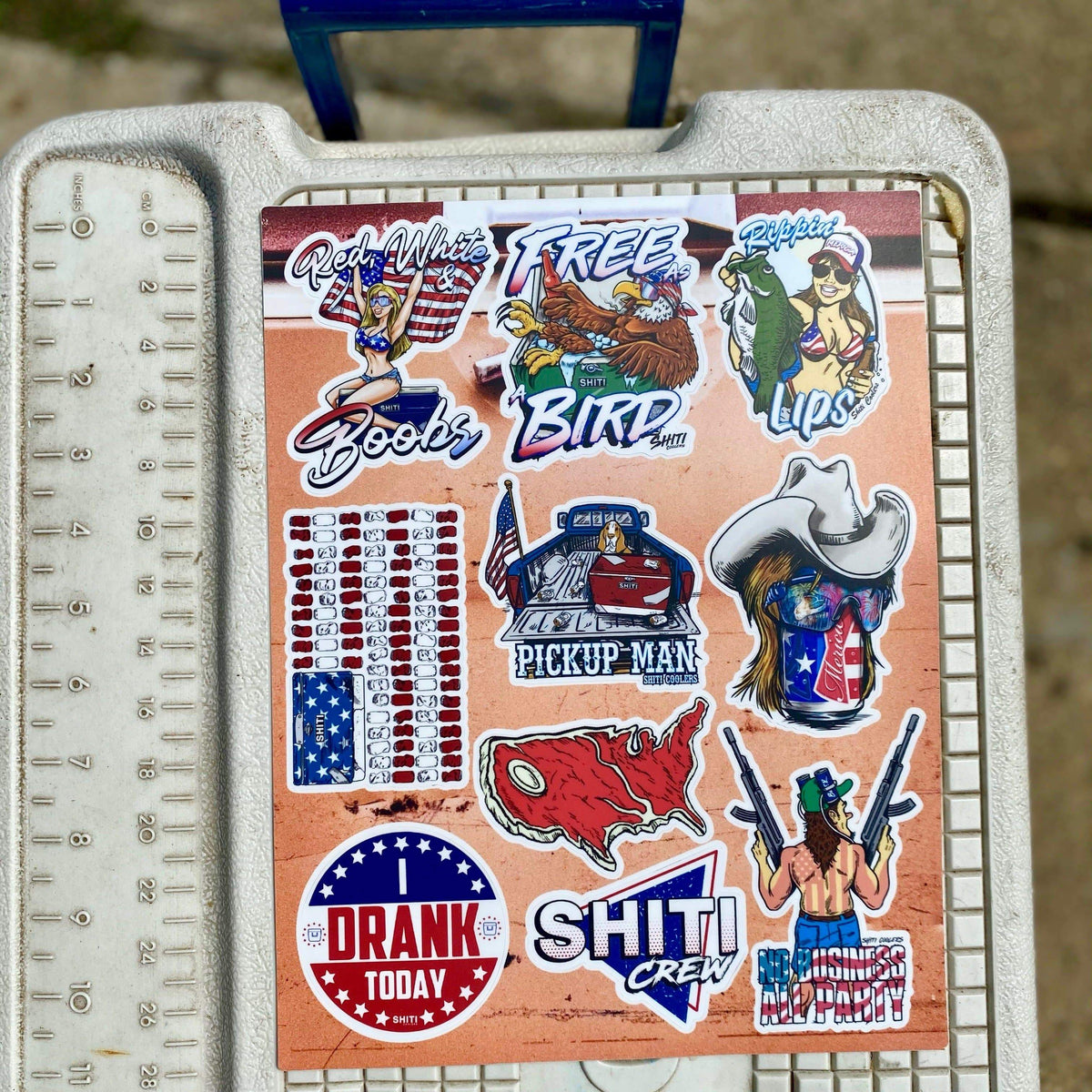 A colorful 10-pack of &#39;Merica-themed stickers featuring patriotic designs, animals, and humorous phrases.